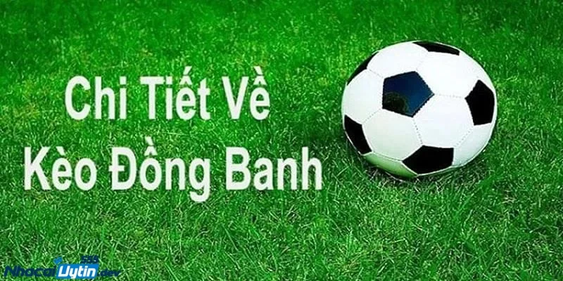 Kèo đồng banh là gì? Cách chơi kèo đồng banh Các tình huống thường gặp và kết quả cụ thể khi cược kèo