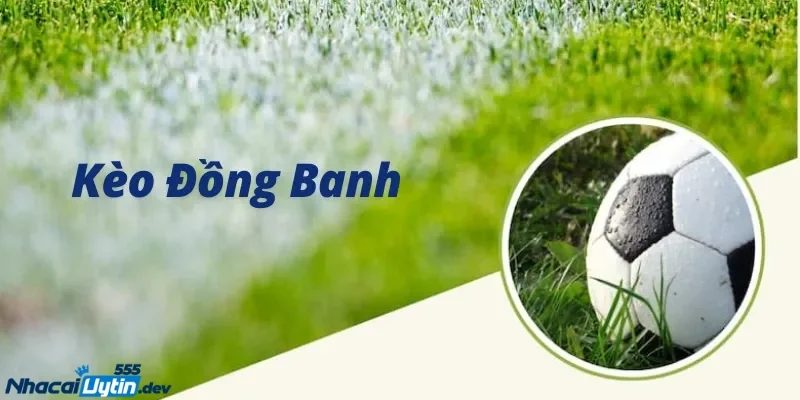 Kèo đồng banh là gì? Cách chơi kèo đồng banh Chiến lược đặt cược an toàn và hợp lý nhất khi chơi kèo này