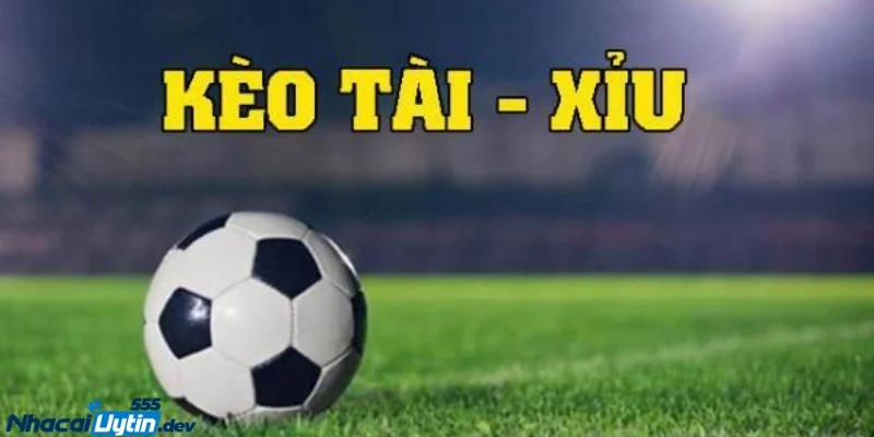 Nhà Cái Uy Tín - Chiến Thuật Đánh Tài Xỉu Hiệp 1 Và Cả Trận 2 Chiến thuật đánh tài xỉu hiệp 1 & cả trận - Những yếu tố cần chú ý