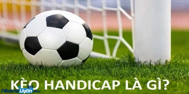 thủ thuật bắt kèo Handicap chuẩn Chọn thời điểm ra kèo – Đừng vội vàng mà mắc sai lầm
