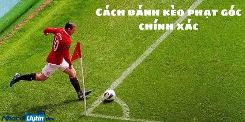 cách đánh kèo phạt góc chính xác Kèo phạt góc là gì và cách tính kèo phạt góc?