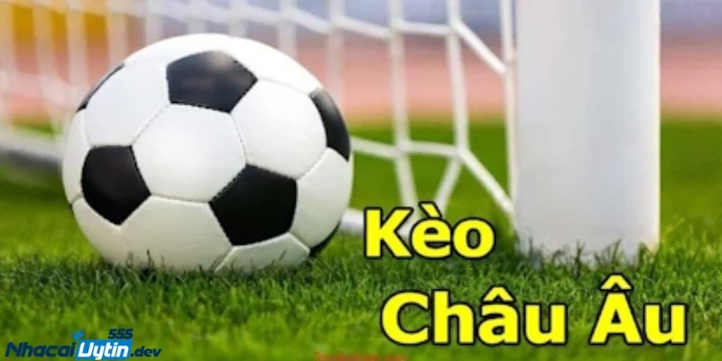 Kinh nghiệm soi kèo châu Âu chuẩn xác Kinh nghiệm soi kèo châu Âu từ dân chuyên chuẩn xác nhất