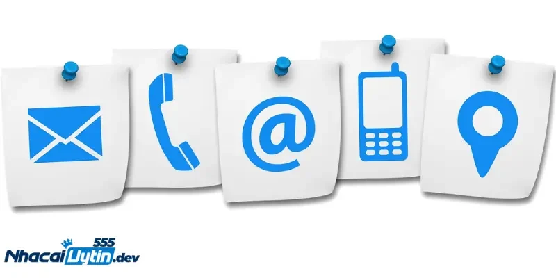 Làm sao để liên hệ CSKH khi gặp sự cố? Lưu ý khi liên hệ CSKH nhà cái uy tín khi gặp sự cố