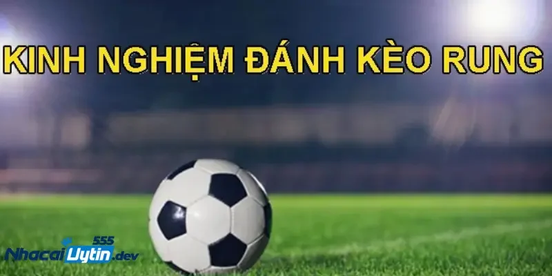 Kinh nghiệm chơi kèo rung an toàn Nâng cao kỹ năng phân tích tình huống trận đấu