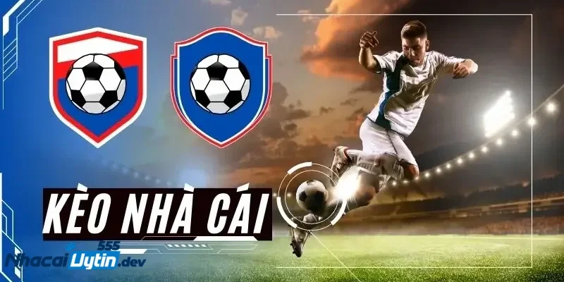 Thâm nhập Thế giới Tỷ lệ Bóng đá Chiến thuật và Cơ hội Tiềm tàng
