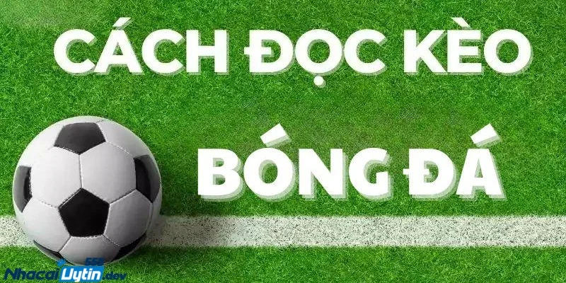 Nhà Cái Uy Tín - Chiến Thuật Đánh Tài Xỉu Hiệp 1 Và Cả Trận 3 Những yếu tố quyết định kết quả tài xỉu từ nhà cái uy tín