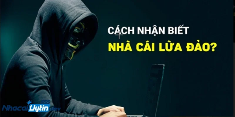 làm sao để nhận biết một nhà cái uy tín? Thị trường nhà cái hiện tại đầy biến động và khó lường