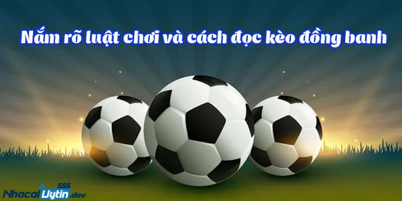Kèo đồng banh là gì? Cách chơi kèo đồng banh Tìm hiểu về kèo đồng banh là gì? Cách chơi kèo đồng banh